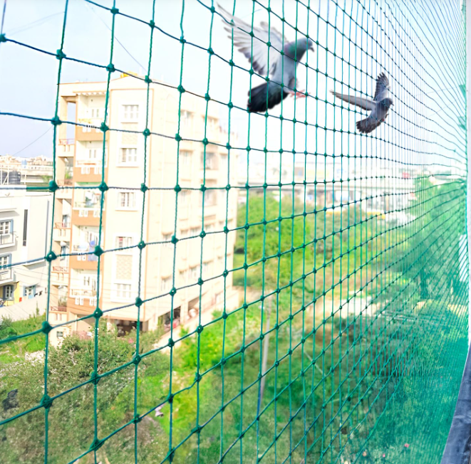 Pigeon Safety Nets